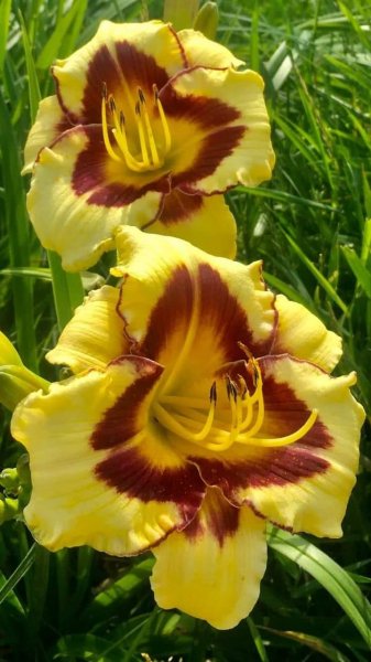 FB IMG 1714649206125