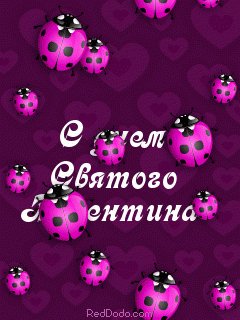 s dnem sv. valentina - 004 240 320