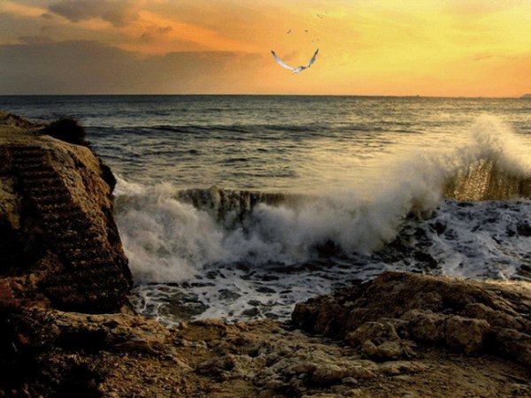 b560b8abe809c4630e489372b06159e5