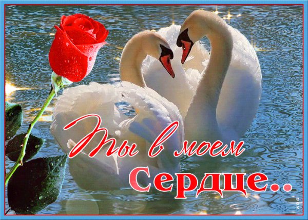 любовь 190016