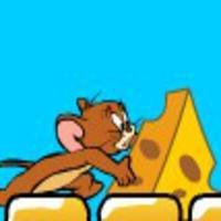 Jerry Needs Cheese