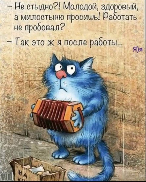 FB IMG 1730139667045