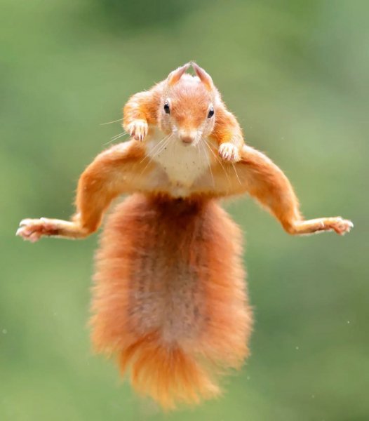 IMG 20220906 020732 990