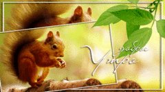 Доброе утро