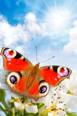 file_48130326
