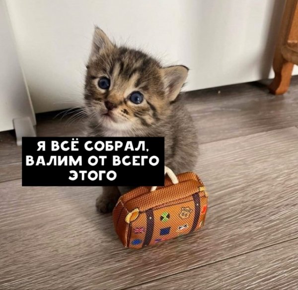 sz 640-2480 upld 37169