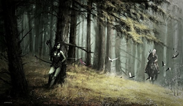 The Witcher Elves Geralt of Rivia Archers Men 535521 1920x111