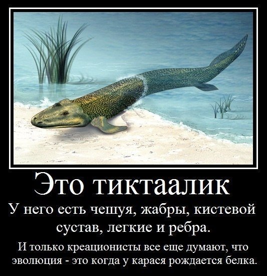 эволюция