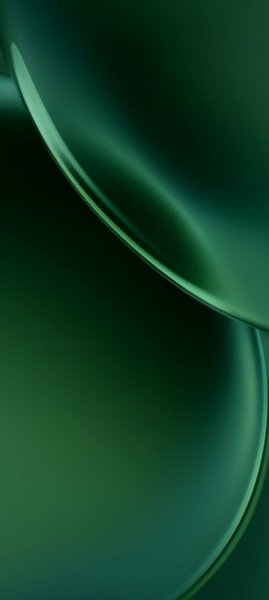 adapted 1080x2408 1764929318