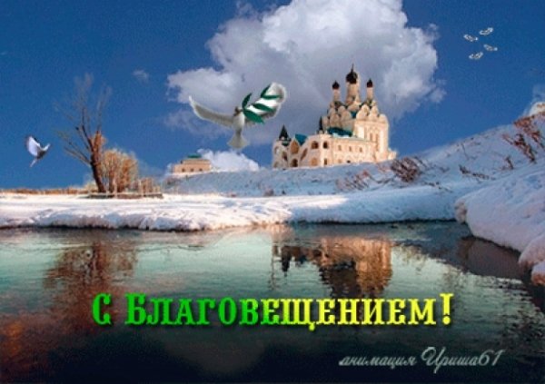 file_81089909