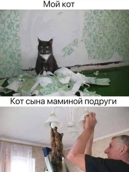 Prestige comedy 0df315520d424118acb579fdedad0892