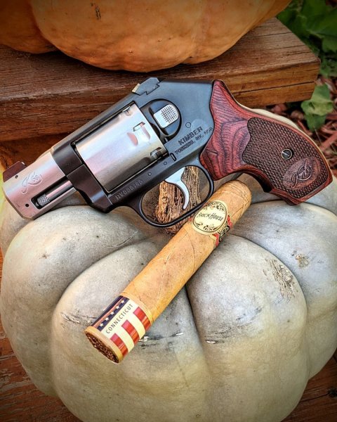 KIMBER K6S