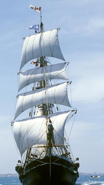 Парусник 45