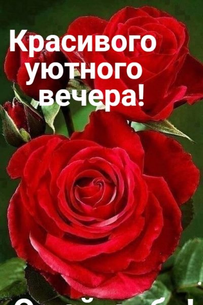 2s dmYtFDMw