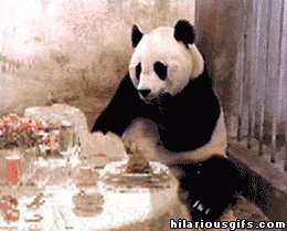 gifs 03