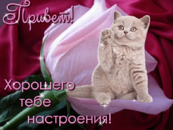 Хорошего настроения!