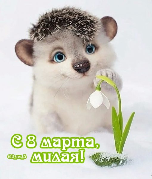 IMG 20220303 221344