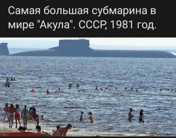 file_97768591