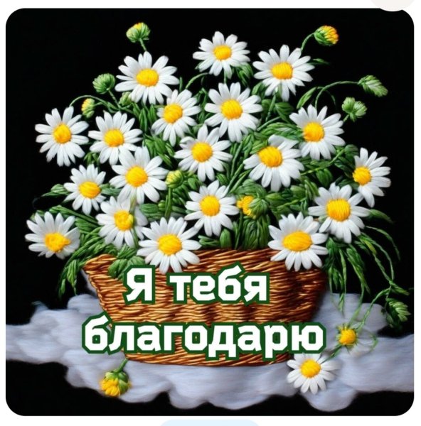 file_101123517
