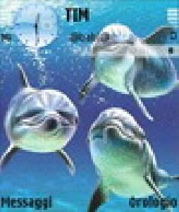 Dolphin (Mobilaz.Net)
