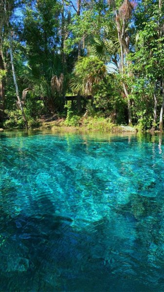 d4790e9e6b6b710eb1358ce50efdf