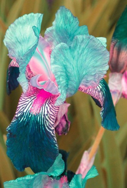 C1d7677e3f83ffa7471bf21b217e2386