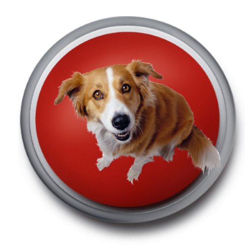 Звуки собак и псов