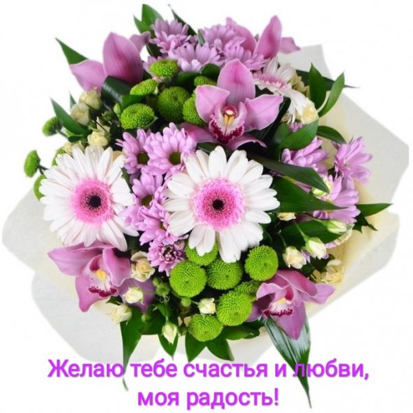 IMG 20181203 194903