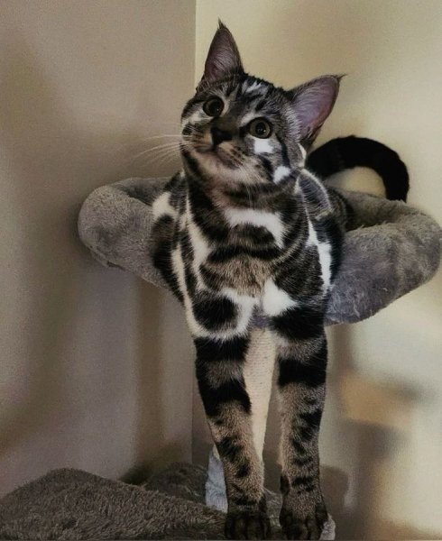 IMG 20250224 163904 444