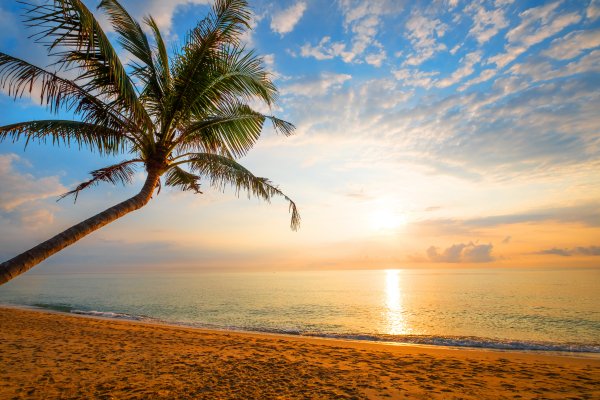 zakat-beautiful-seascape-sand-sea-pliazh-leto-tropical-su-14