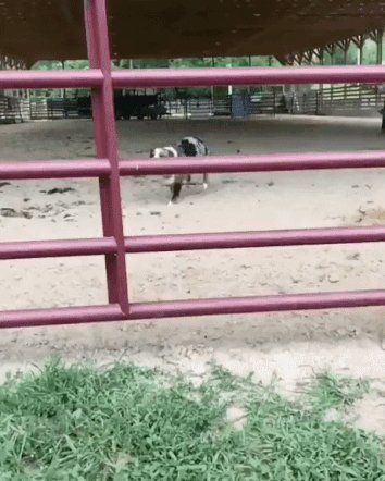 )