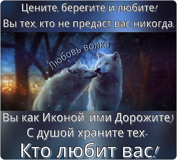 IMG 20180207 191746 0