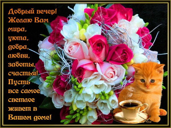 Добрый вечер