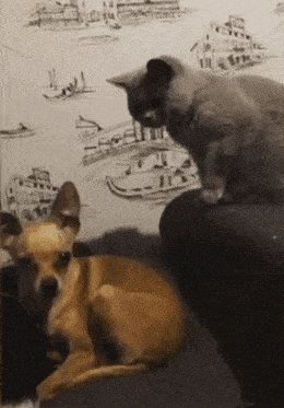 Чо ты тут забыл?)))