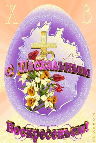 file_84988450