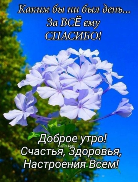 file_92866612
