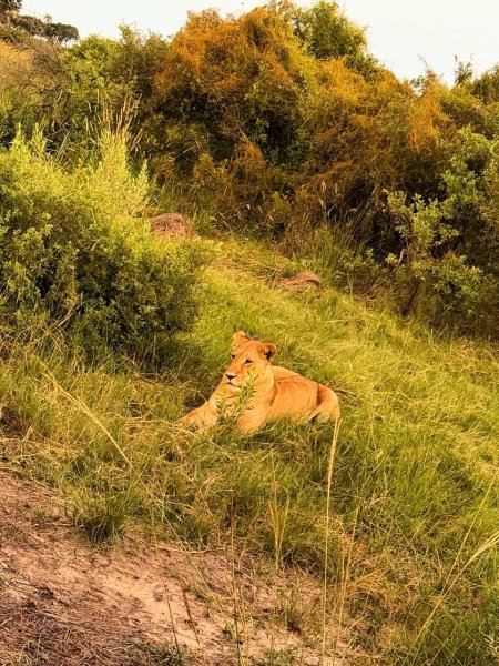 IMG 20250502 223708 689