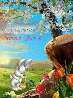 file_46564079