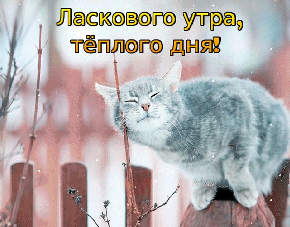 Анимированная открытка ласкового утра