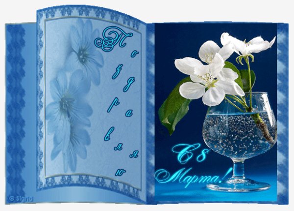 0 adea3 6f7f4207 XL