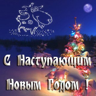 -drhHvPobJ8