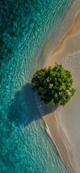 IMG 20260121 163428 348