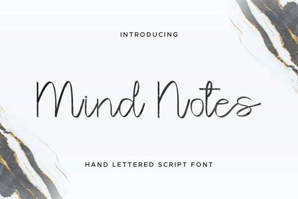 Mind Notes-1.0.93.1231