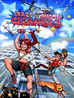 Crazy Window Cleaners