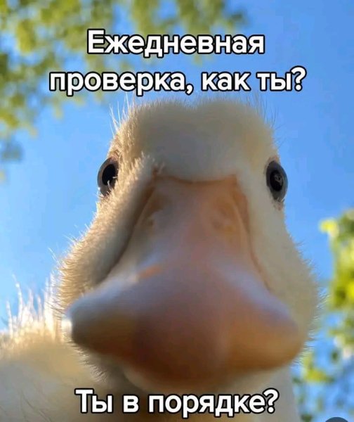 file_103310104
