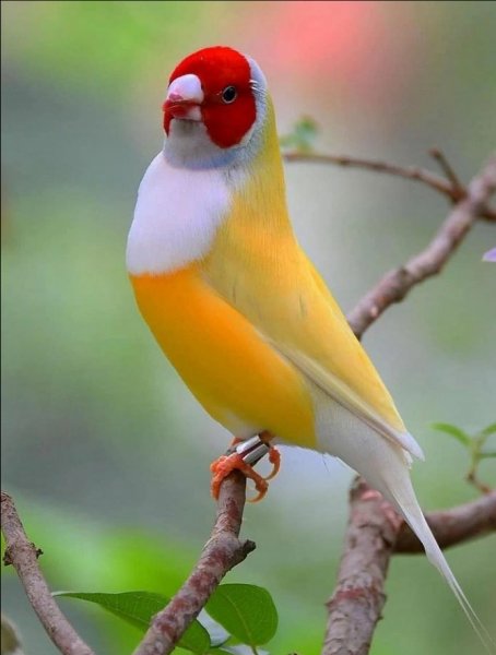 Screenshot 2021-08-03-21-45-48