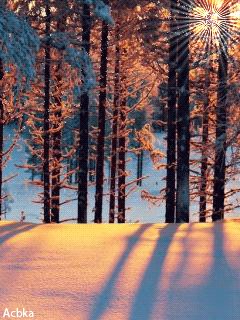 file_58079542