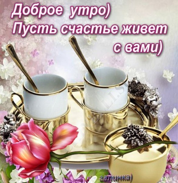 IMG 20190201 670941
