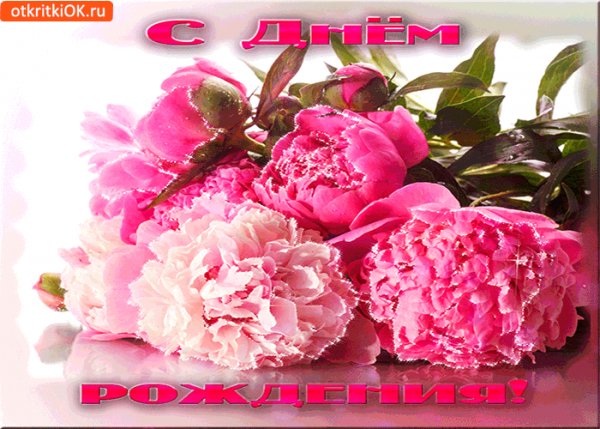 b949d5e23a458fde7d4224c600