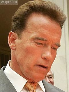 ШВАРЦЕНЕГГЕР 3